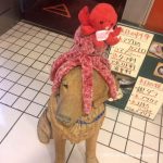 犬の定点観測
