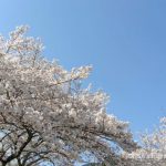 今日も今週も、おつかれさまです。一緒に、大切な、１日ずつの時間を