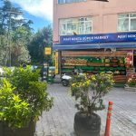 日々是好日 ｜ イスタンブールと猫と、命のこと［２］