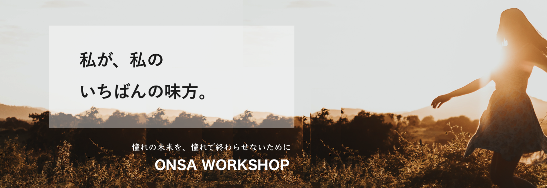 header_banner_ws